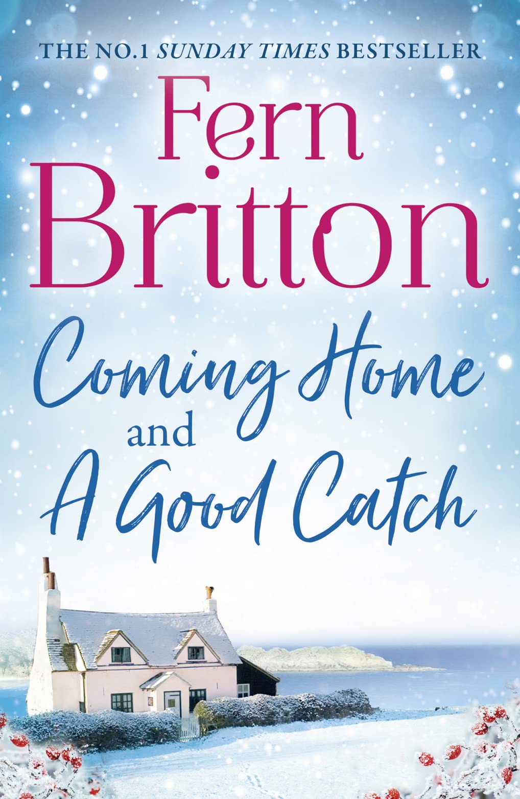 Fern Britton Collection: Coming Home & A Good Catch
