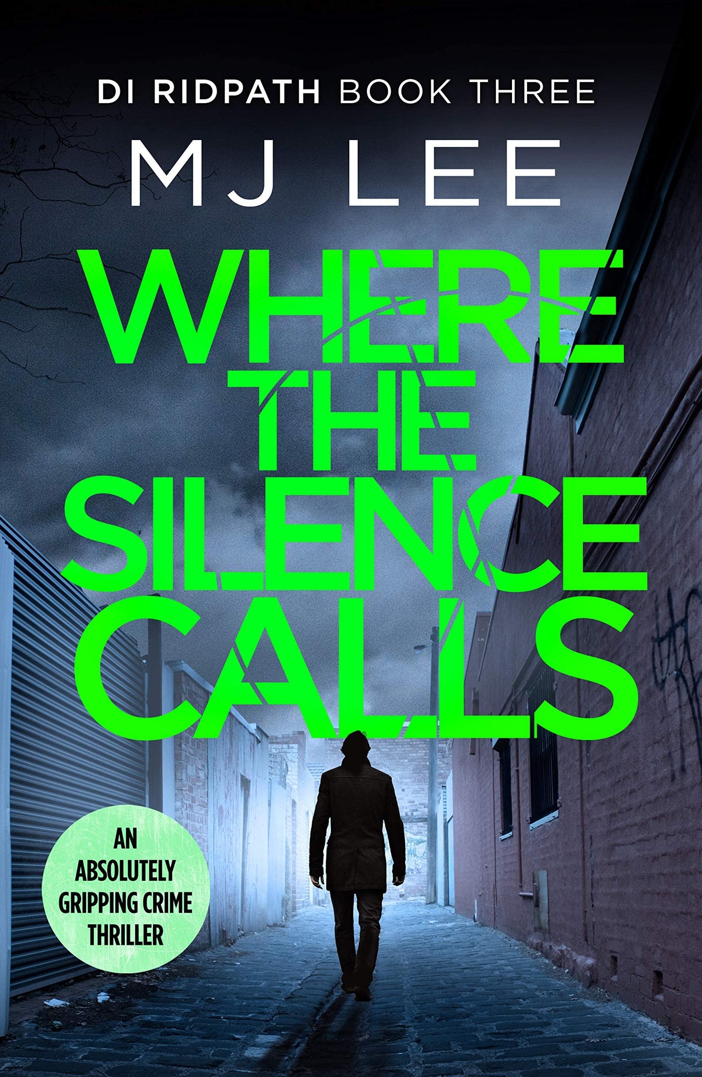 M J Lee DI Ridpath Series Collection 8 Books Set (When the Past Kills, Where the Silence Calls, Where The Truth Lies, When the Guilty Cry, Dead Fall, Night Ends, When the Evil Waits, Innocent Die)