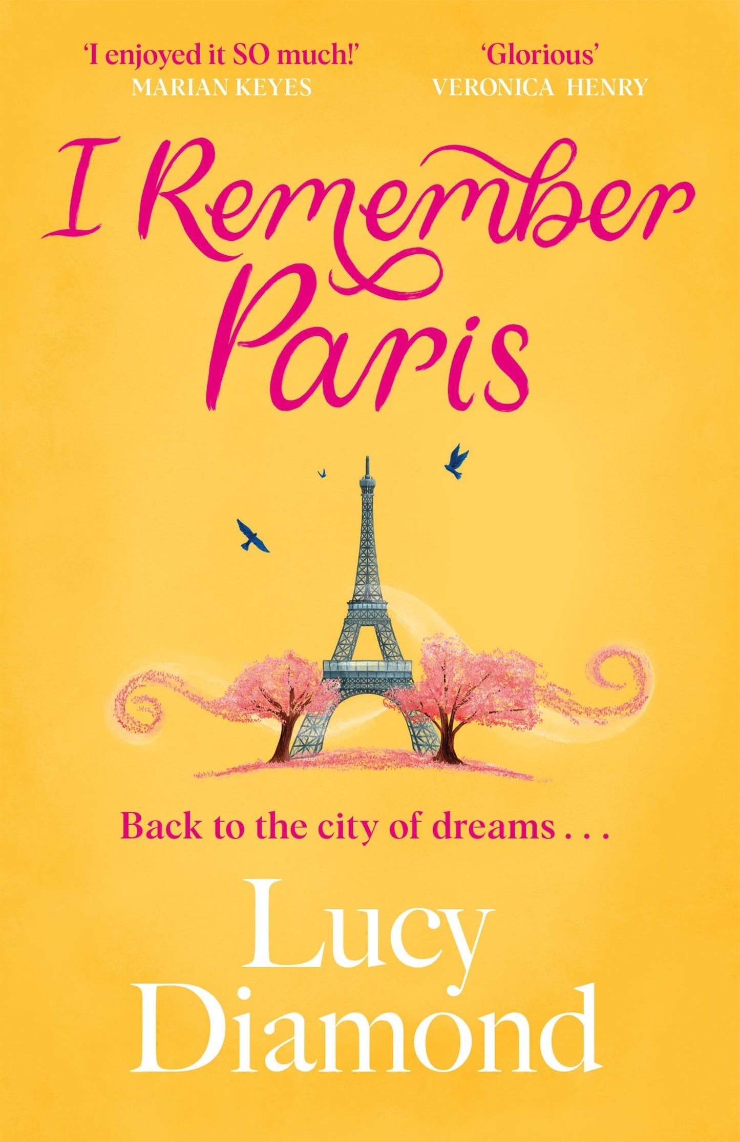 I Remember Paris: the perfect escapist read from the bestselling author of The Beach Cafe and Anything Could Happen